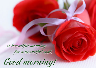 Flower Good Morning Photo For Lover With Quotes